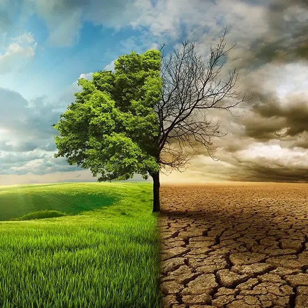 global warming concept comparing green field to dry cracked earth field