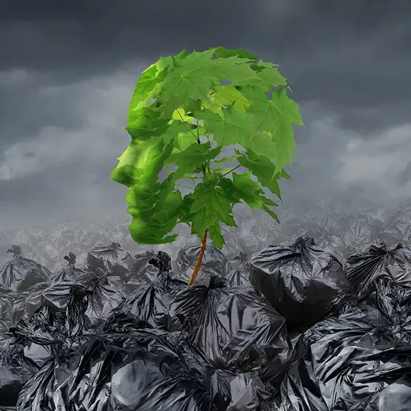 tree grows amidst mountain of trash bags symbolizing hope